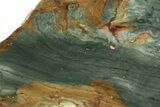Gary Green Jasper (Larsonite) Bog Wood Slab - Oregon #263377-1